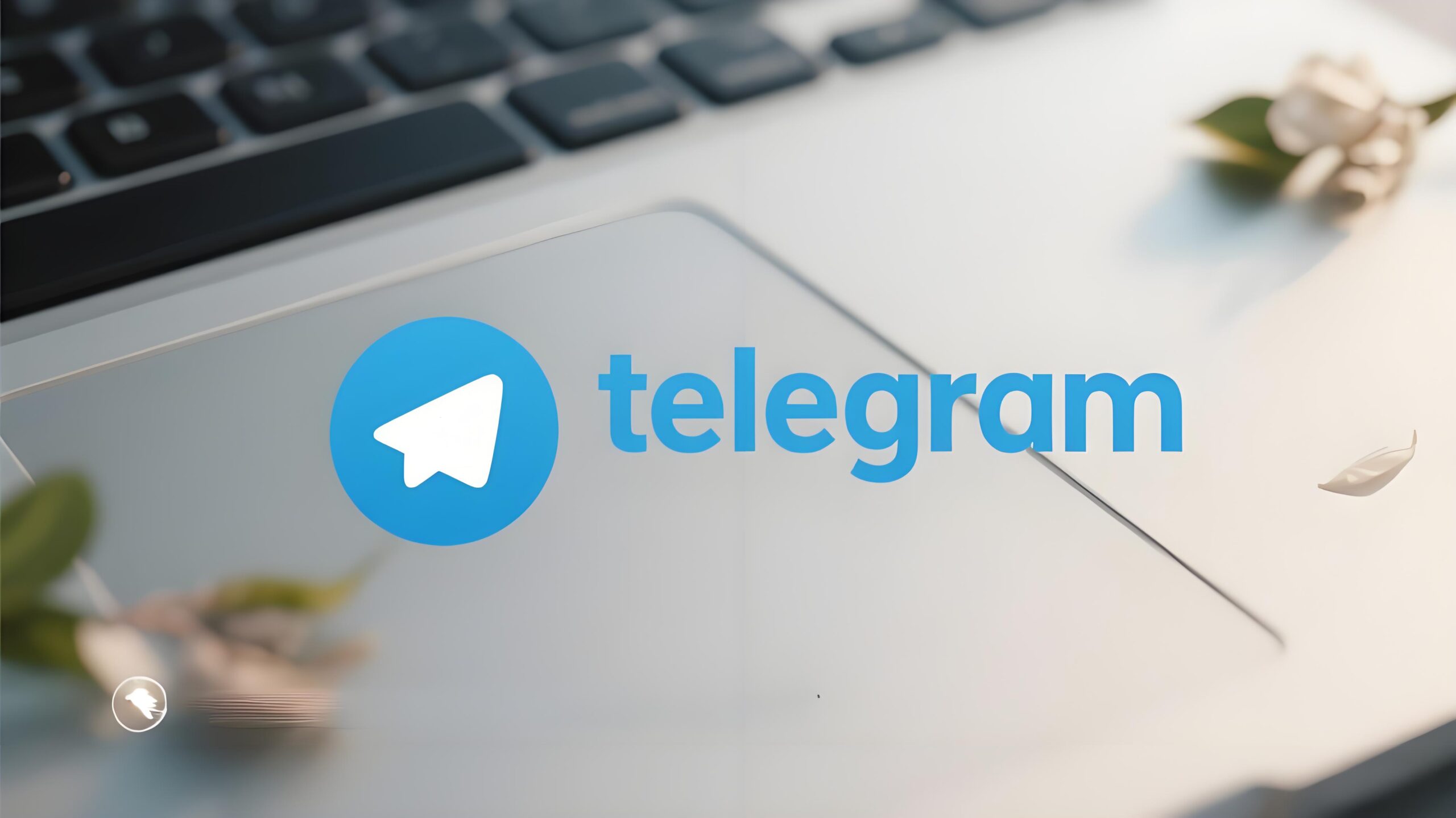 用错方法更新Telegram?可能导致账号被封!