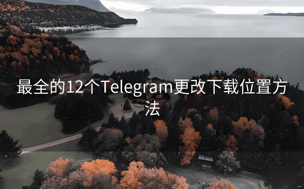 Telegram文件保存路径调整方法汇总