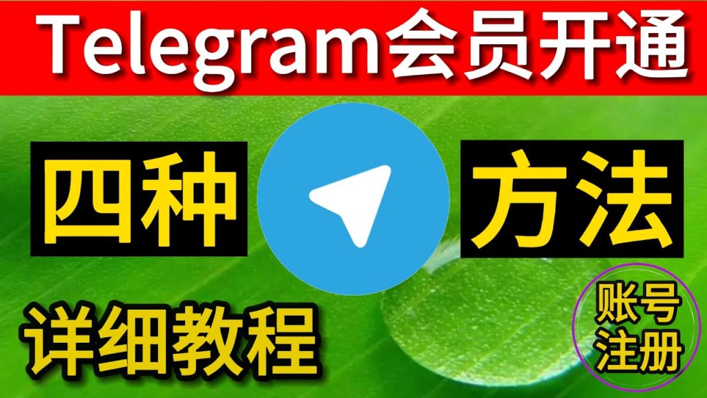 怎么开通Telegram会员，享受更多特权？